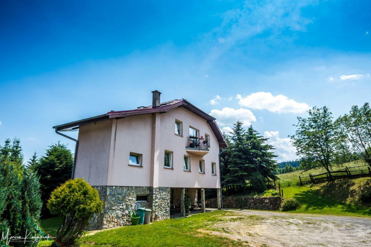 Agroturystyka Kapellanka - Kraina Wygasłych Wulkanów Wojcieszów Exterior foto