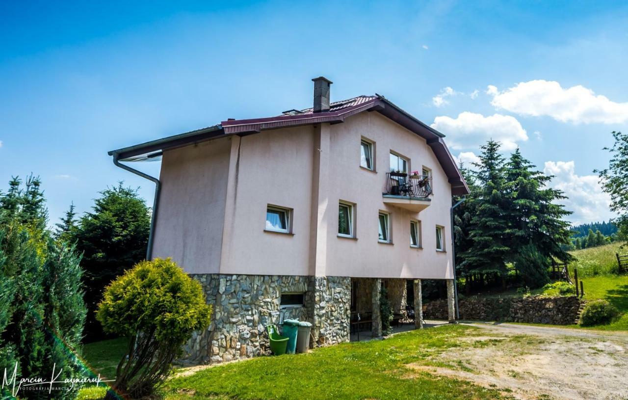 Agroturystyka Kapellanka - Kraina Wygasłych Wulkanów Wojcieszów Exterior foto
